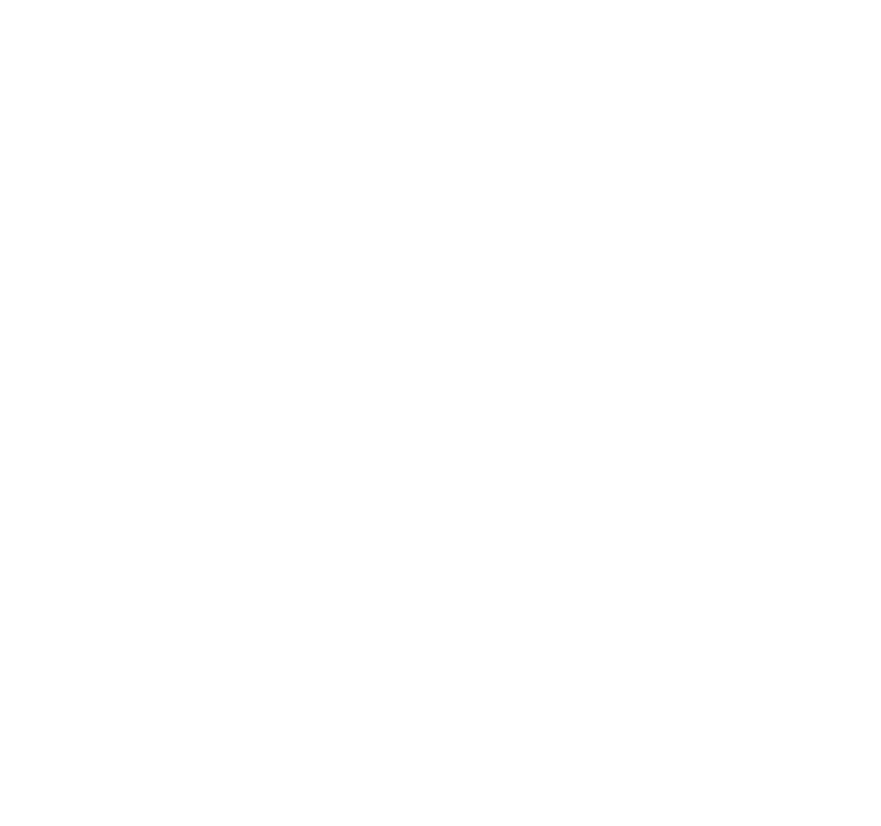 fox blanc | Solution Wifi Pro